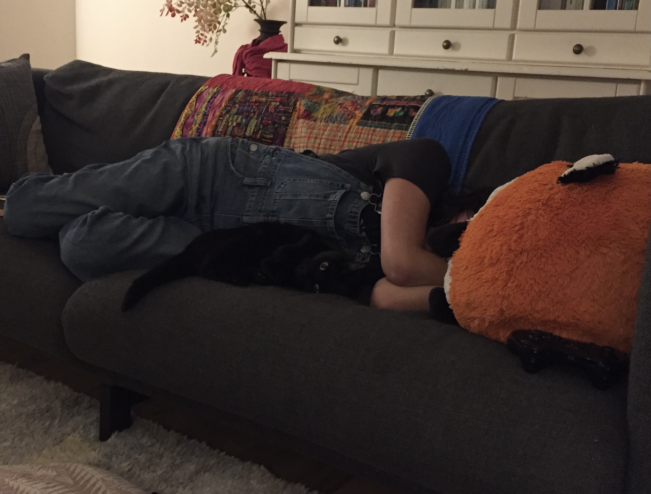 black cat being spooned by a person on couch